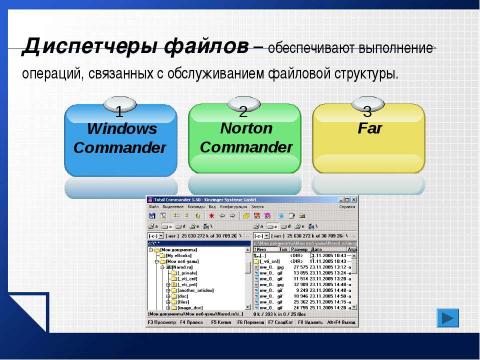 Презентация на тему "Базовое программное обеспечение" по информатике