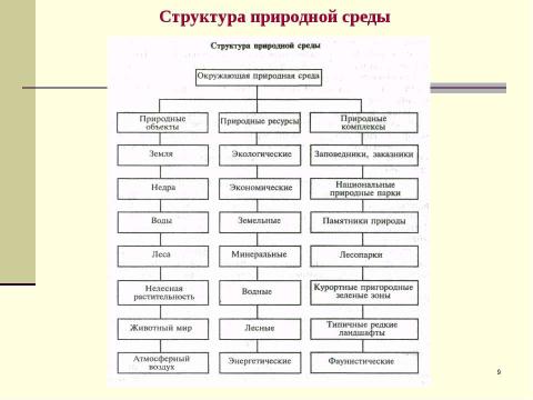 Презентация на тему "Экологический менеджмент" по экологии