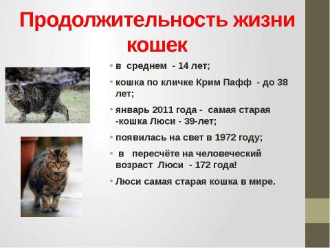 Презентация на тему "Кошки в истории, обществе, в английской и русском языках и литературе разных стран" по литературе