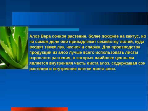 Презентация на тему "Алоэ. Зелёный доктор на вашем окне" по биологии