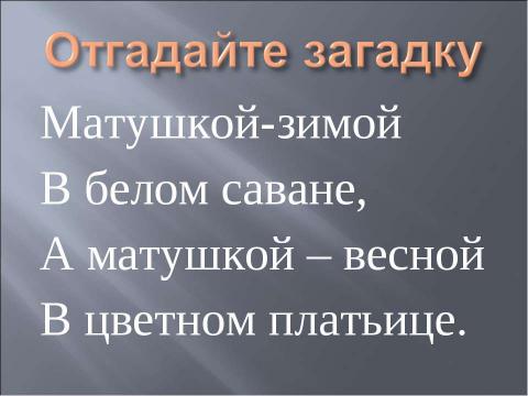 Презентация на тему "И.Токмакова. «Ручей». Е.Трутнева. «Когда это бывает»" по литературе