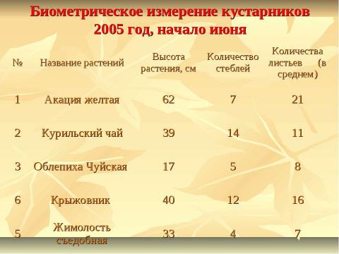 Презентация на тему "Выращивание кустарников из семян в условиях Амгинского улуса" по экологии