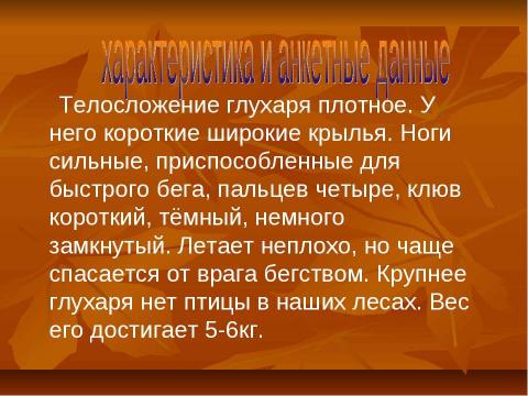 Презентация на тему "Глухарь" по экологии