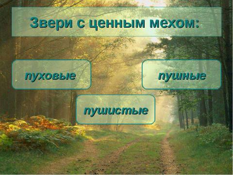 Презентация на тему "Животные лесной зоны России" по окружающему миру