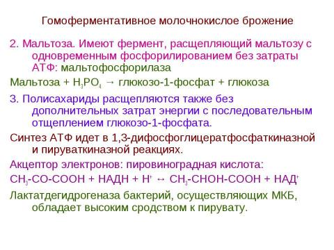 Презентация на тему "Брожения. Типы жизни, основанные на субстратном фосфорилировании" по биологии