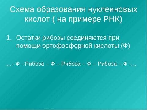 Презентация на тему "Нуклеиновые кислоты 9 класс" по химии