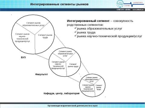 Презентация на тему "Организация маркетинга в вузе" по обществознанию