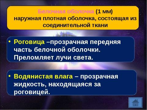 Презентация на тему "Орган зрения. Зрительный анализатор" по биологии