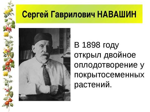 Презентация на тему "Размножение и оплодотворение у растений" по биологии