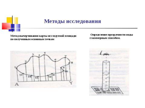 Презентация на тему "ГАММАРУС - ЭНДЕМИК О.ТОМСКОЕ БАЕВСКОГО РАЙОНА" по биологии