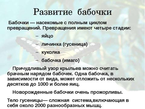 Презентация на тему "Бабочки 7 класс" по биологии