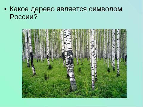 Презентация на тему "Лес и человек" по окружающему миру