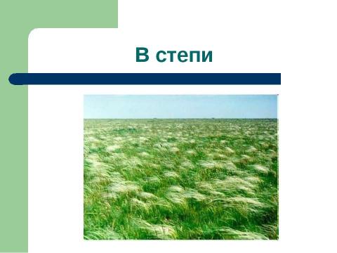 Презентация на тему "Разнообразие растений на Земле" по начальной школе