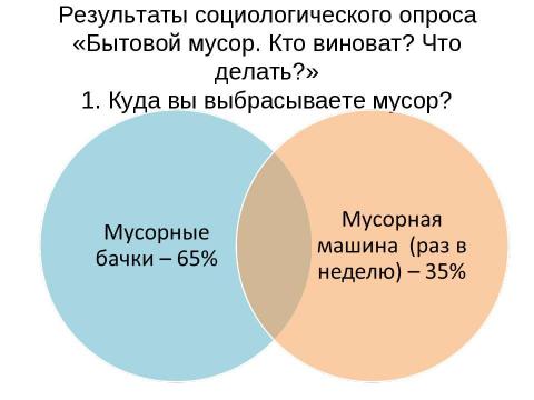 Презентация на тему "Исследование проблемы уборки" по экологии