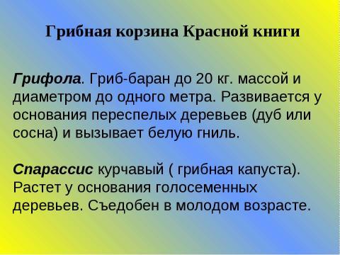 Презентация на тему "Многообразие и значение грибов" по биологии