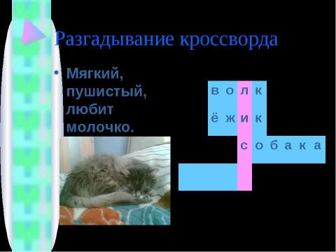 Презентация на тему "Упражнения в написании слов с заглавной буквы" по начальной школе