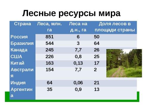 Презентация на тему "Природные ресурсы мирового хозяйства" по географии