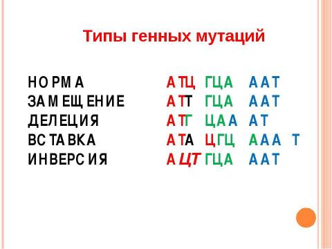 Презентация на тему "Основы молекулярной генетики" по биологии