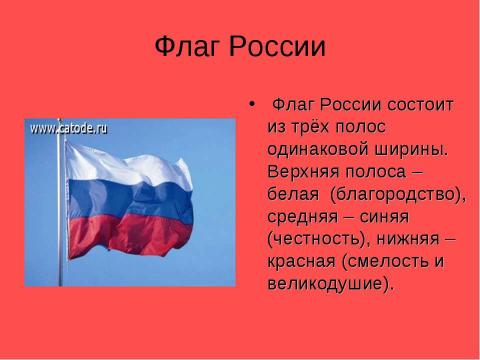 Презентация на тему "Я гражданин Российской Федерации" по обществознанию