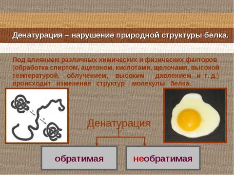 Презентация на тему "Свойства и функции белков" по биологии