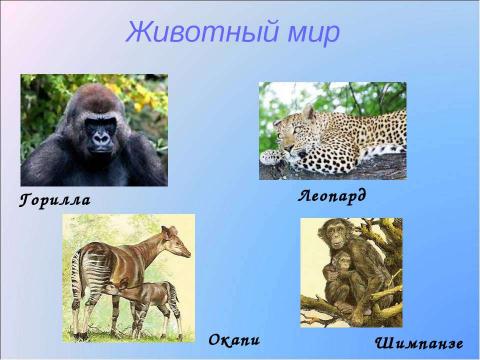 Презентация на тему "Природные зоны Африки 7 класс" по географии