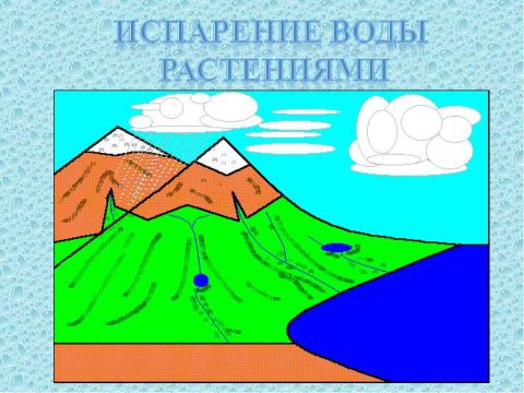 Презентация на тему "Круговорот веществ в биосфере" по географии