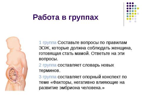 Презентация на тему "Внутриутробное развитие человека" по биологии