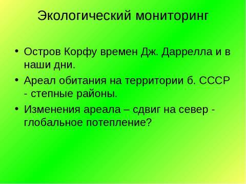 Презентация на тему "Богомолы в природе и дома" по экологии