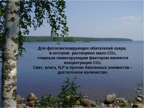 Презентация на тему "Общие законы действия факторов среды на организм" по биологии