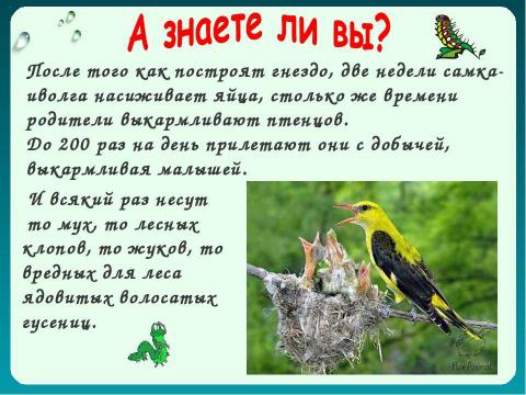 Презентация на тему "Как животные питаются 3 класс" по окружающему миру