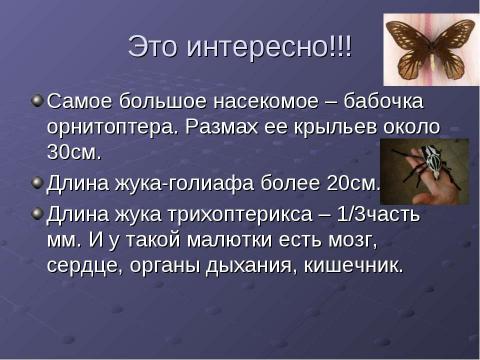 Презентация на тему "В мире природы" по окружающему миру