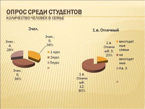 Презентация на тему "Социально - педагогическая поддержка детей из многодетных семей" по педагогике