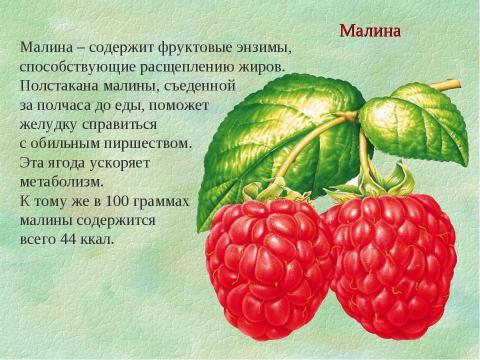 Презентация на тему "Продукты, регулирующие обмен веществ и сжигающие жир" по биологии