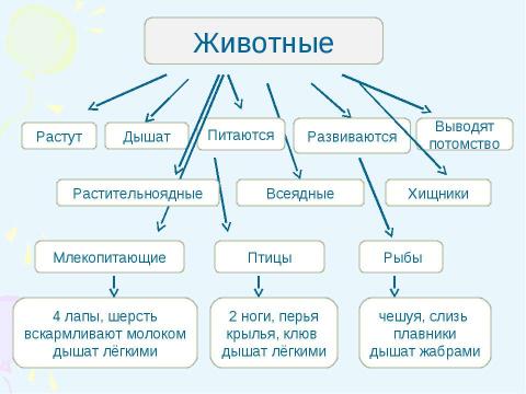 Презентация на тему "Многообразие рыб 1 класс" по начальной школе