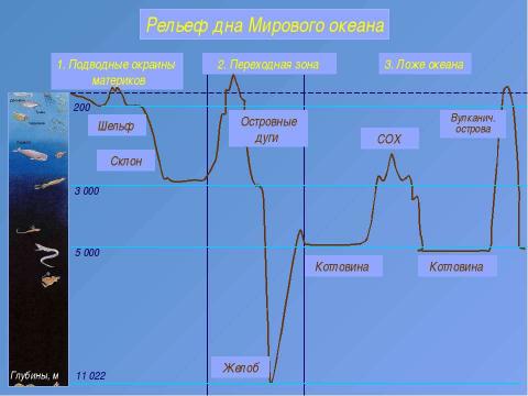 Презентация на тему "Рельеф дна Мирового океана" по географии