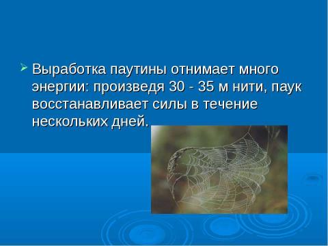 Презентация на тему "Из чего состоит паутина?" по химии