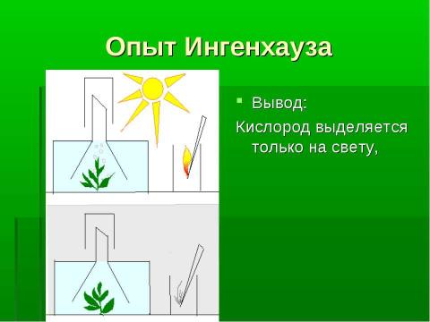 Презентация на тему "История открытия фотосинтеза" по биологии