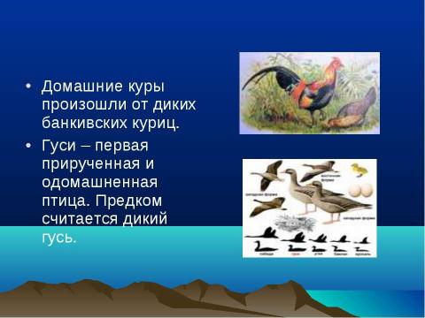 Презентация на тему "Происхождение животных и их дикие предки и сородичи" по биологии