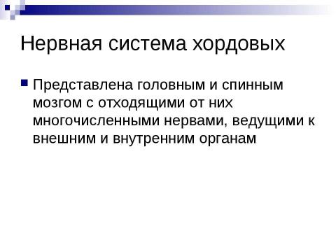 Презентация на тему "Нервная система У животных" по биологии