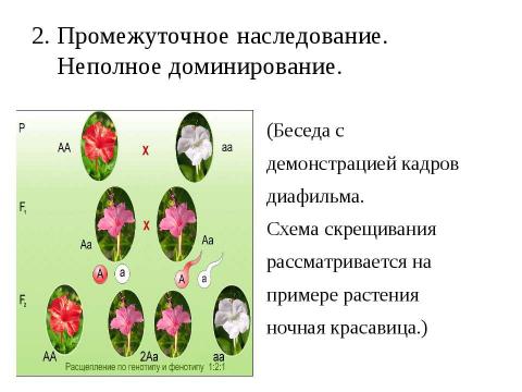 Презентация на тему "Анализирующее скрещивание. Неполное доминирование" по биологии