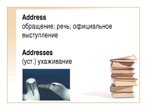 Презентация на тему "Differentiated nouns" по английскому языку