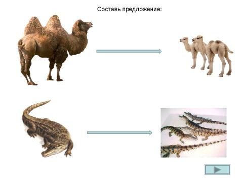 Презентация на тему "Играем со звуками Ри Л" по русскому языку