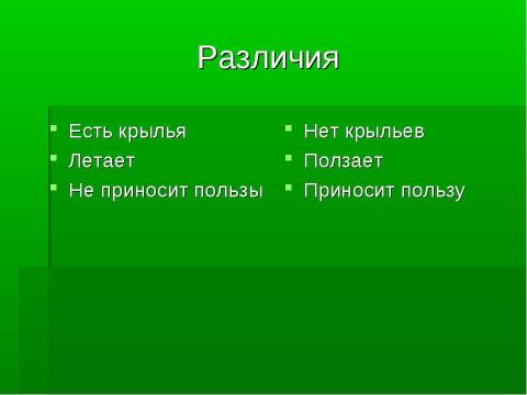 Презентация на тему "Кто такие насекомые?" по биологии