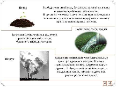 Презентация на тему "Экология и здоровье человека 11 класс" по экологии