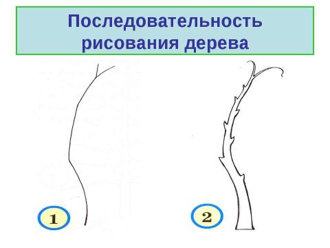 Презентация на тему "Рисование по представлению. Осенние деревья" по МХК