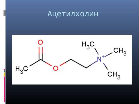 Презентация на тему "Генетика поведения: механизм формирования зависимости" по биологии