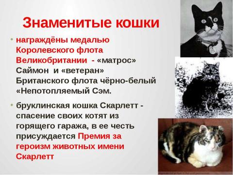 Презентация на тему "Кошки в истории, обществе, в английской и русском языках и литературе разных стран" по литературе