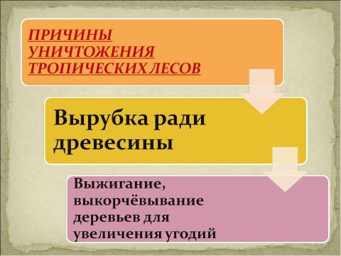 Презентация на тему "Прошлое и настоящее глазами эколога" по экологии