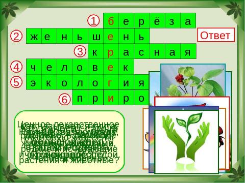 Презентация на тему "Будь природе другом" по окружающему миру