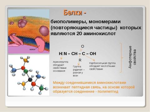 Презентация на тему "Химическая организация клетки. Неорганические вещества" по химии